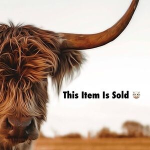 🎁 GIFTED 🎁 ✨ Freeman Candy Cane Cocoa Sheet Mask Set Of 2 ✨